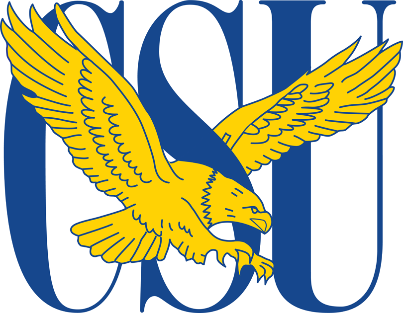 Coppin State Eagles 2004-2016 Primary Logo diy DTF decal sticker